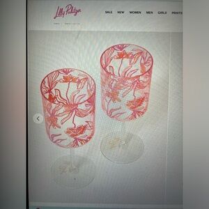 Lilly Pulitzer Acrylic Glasses in Floral Print